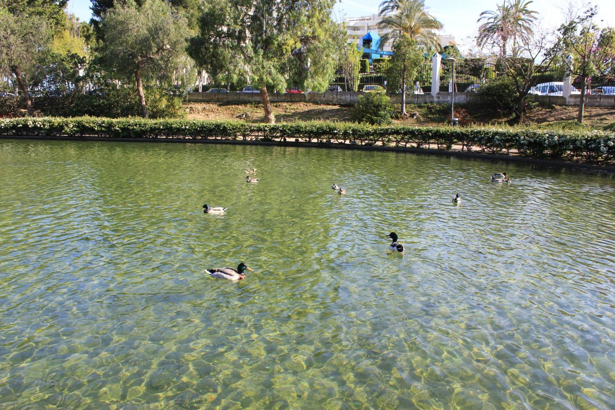 Aguila 110 Appartement Benalmádena Buitenkant foto